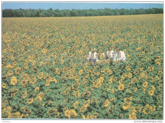 sunflower field - 1986 - Russia USSR - unused - JH Postcards