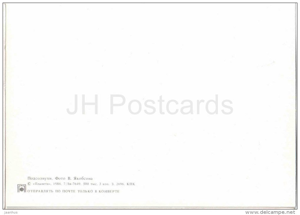 sunflower field - 1986 - Russia USSR - unused - JH Postcards