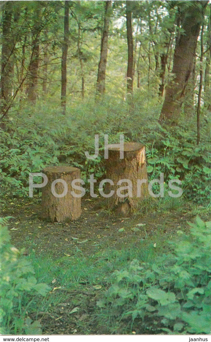 Razliv - Green Study - Lenin Memorial - 1970 - Russia USSR -  unused - JH Postcards