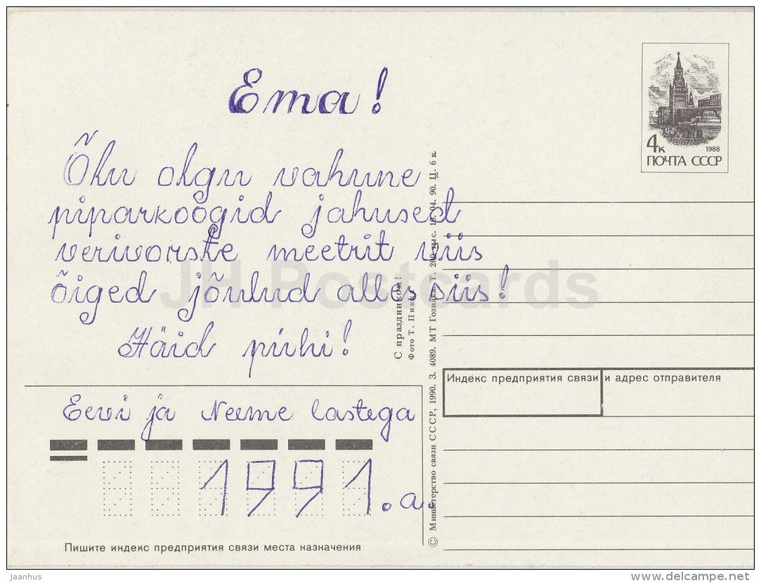 New Year Greeting card - 1 - cones - nuts - postal stationery - 1990 - Estonia USSR - used - JH Postcards
