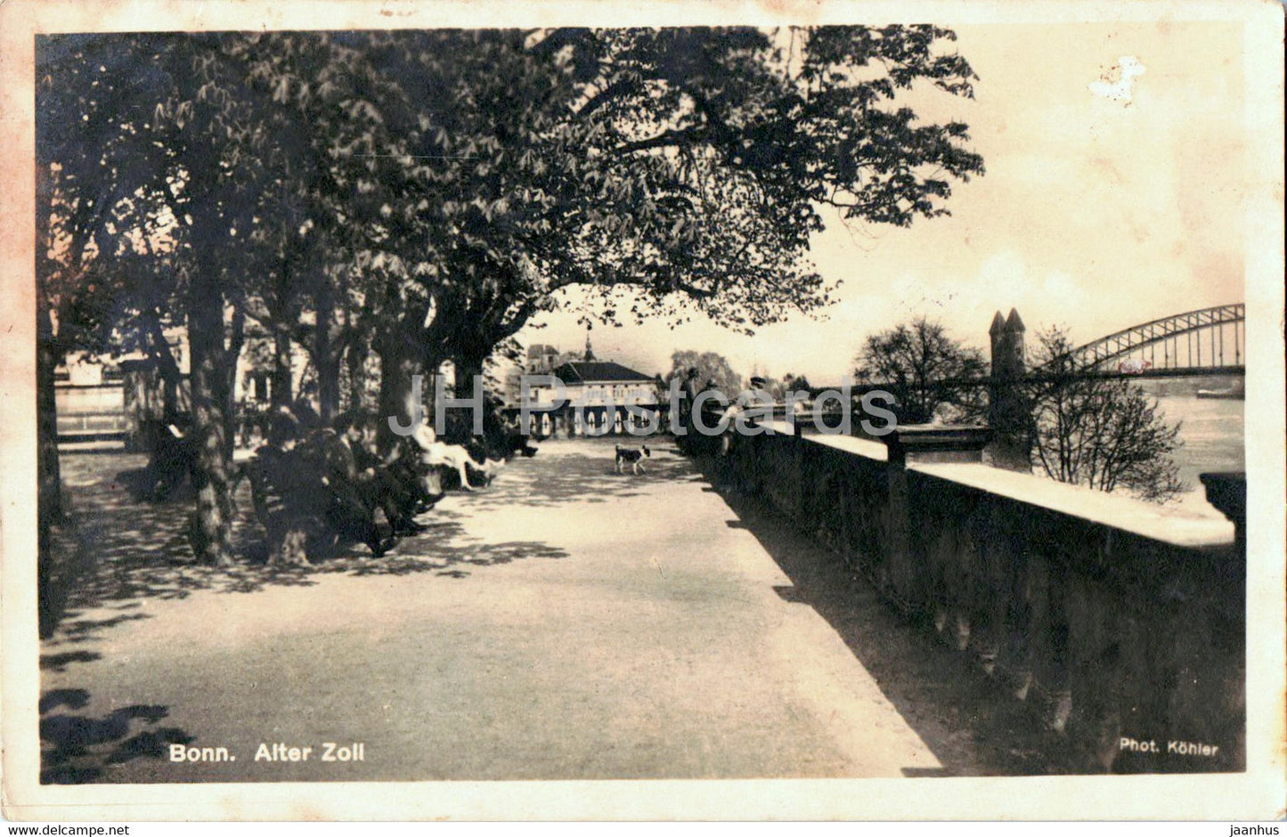 Bonn - Alter Zoll - old postcard - 1930 - Germany - used - JH Postcards