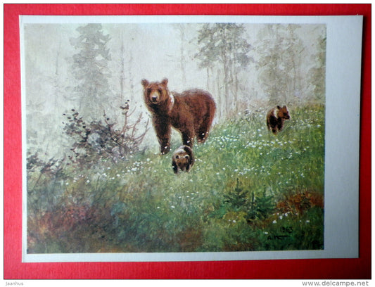 illustration by A. Komarov - Brown Bear - Ursus arctos - 1975 - Russia USSR - unused - JH Postcards