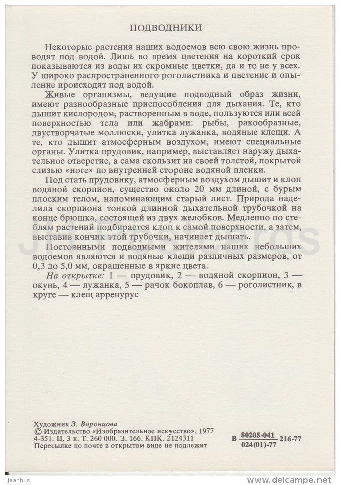 Perch , fish - Nepidae - Lymnaeidae - Viviparus viviparus , snail - Life in Water - 1977 - Russia USSR - unused - JH Postcards