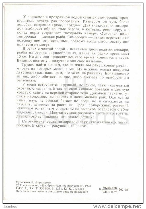 gudgeon - Raft spider - kingfisher - Butomus , flowering rush - 1978 - Russia USSR - unused - JH Postcards