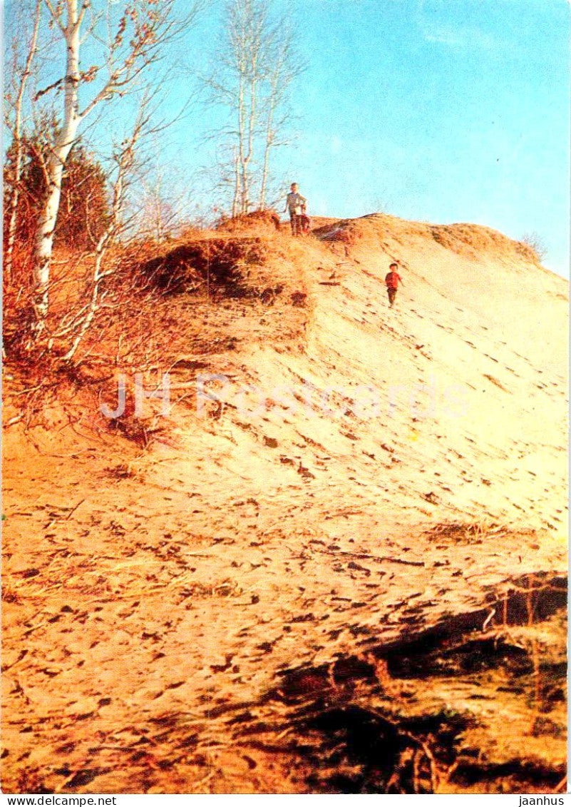 Shushenskoye - Lenin's Siberian Exile - Peshchanaya hillock - 1983 - Russia USSR - unused - JH Postcards