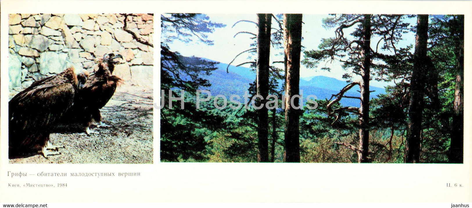 Vulture - birds - protected places of Crimea - 1984 - Ukraine USSR - unused - JH Postcards