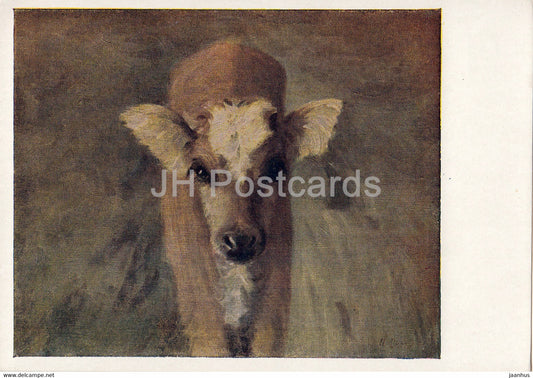 painting by I. Popov - Calf - Yakutia Sakha Russian art - 1958 - Russia USSR - unused - JH Postcards