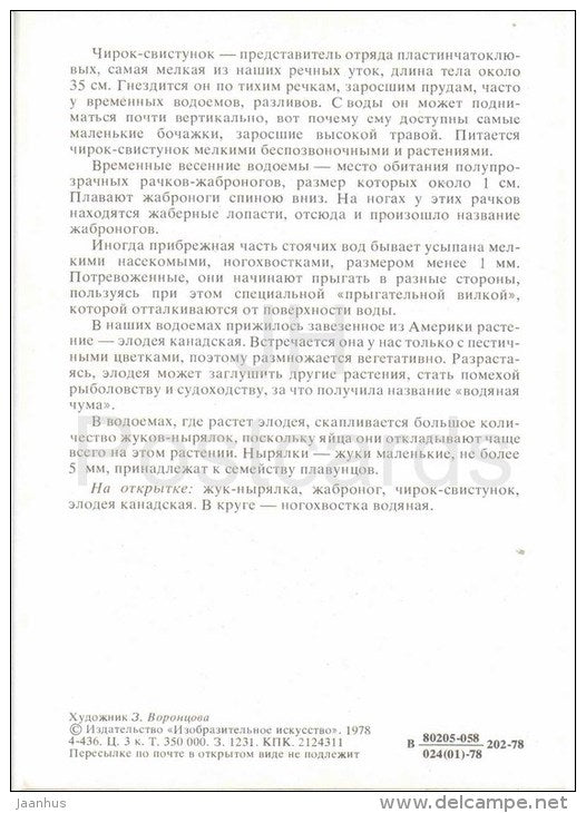 Elodea canadensis - Eurasian teal - Branchiopoda , shrimp - Noteridae , beetle - 1978 - Russia USSR - unused - JH Postcards