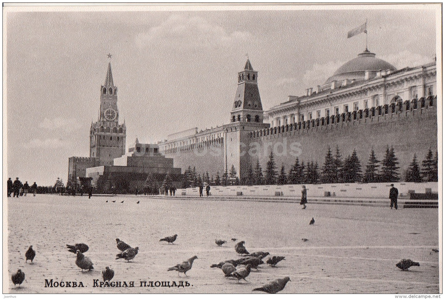 Kremlin - Red Square - doves - Moscow - 1957 - Russia USSR - unused - JH Postcards