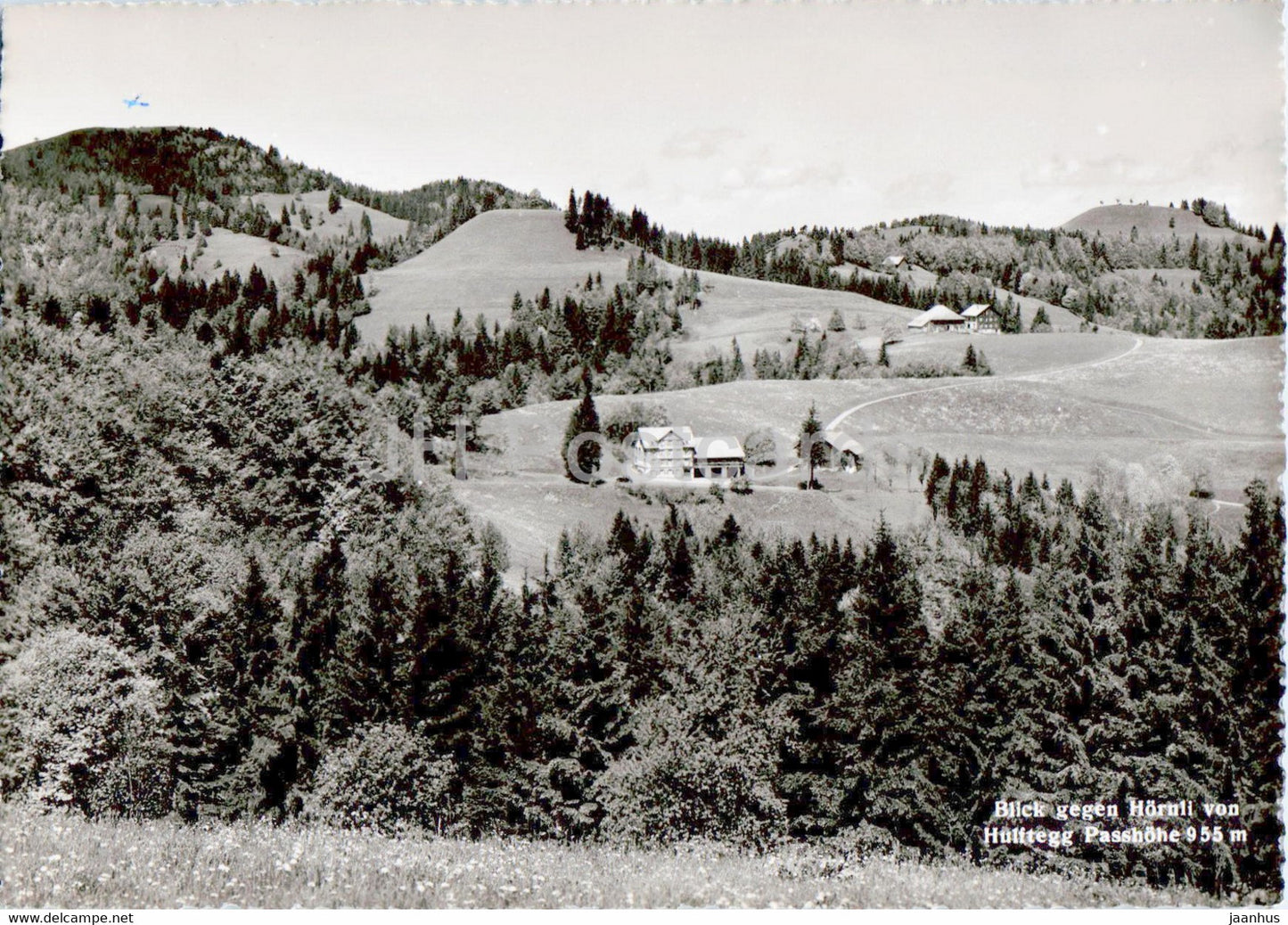 Blick gegen Hornli von Hulftegg Passhohe 955 m - old postcard - Switzerland - unused - JH Postcards