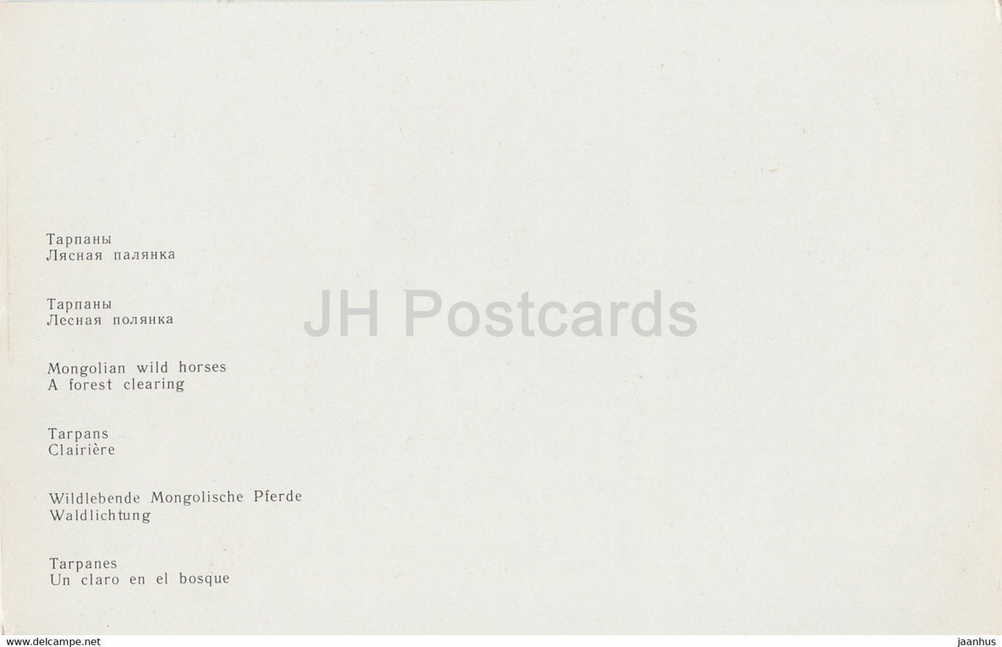 Belovezhskaya Pushcha National Park - Mongolian Wild Horses - A Forest Cleaning - 1981 - Berarus USSR - unused