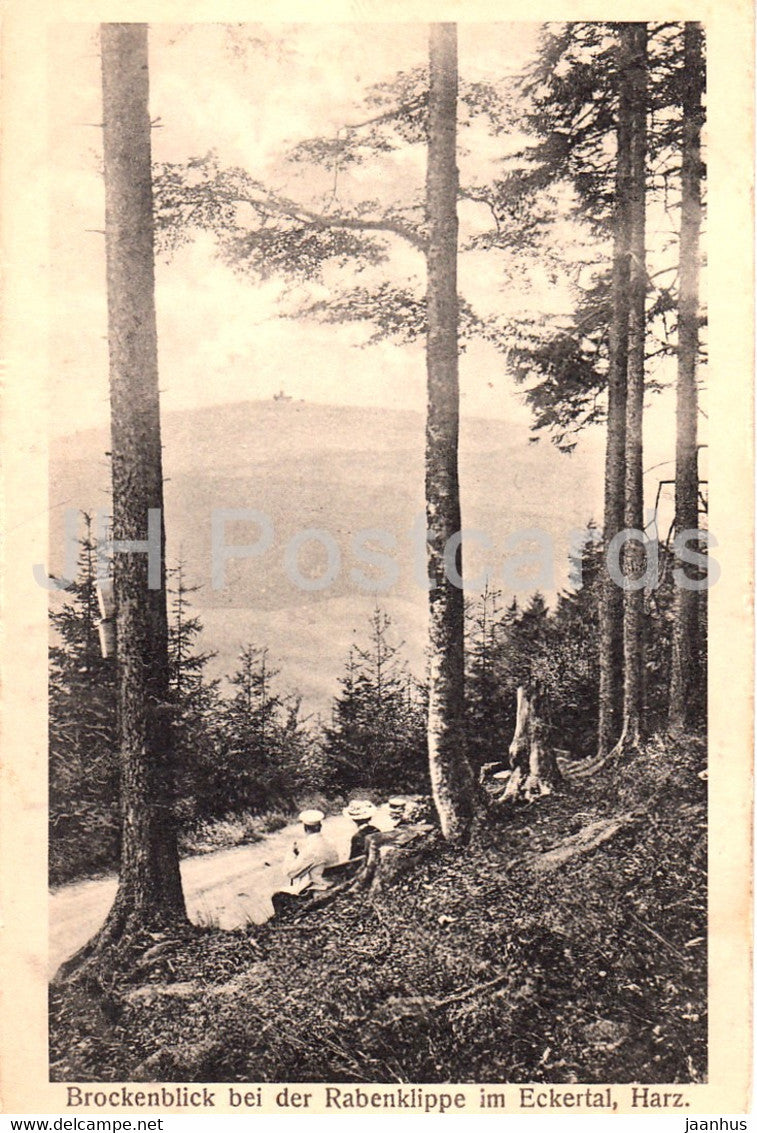 Brockenblick bei der Rabenklippe im Eckertal Harz - 54145 - old postcard - Germany - unused - JH Postcards