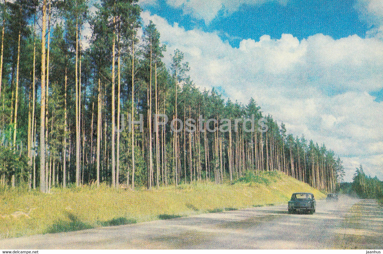The Gauja National Park - Pine Forest - 1976 - Latvia USSR - unused - JH Postcards