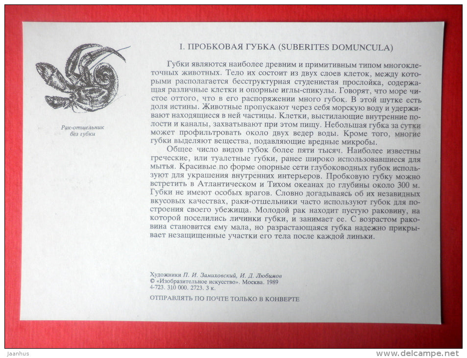 Suberites domuncula - Hermit Crab - Sealife - 1989 - Russia USSR - unused - JH Postcards