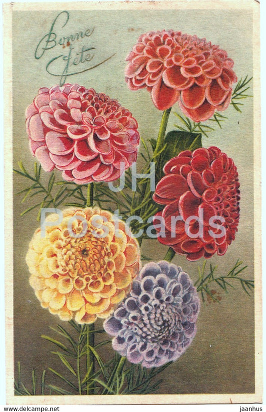 Birthday Greeting Card - Bonne Fete - flowers - dahlia - illustration - old postcard - 1944 - France - used - JH Postcards