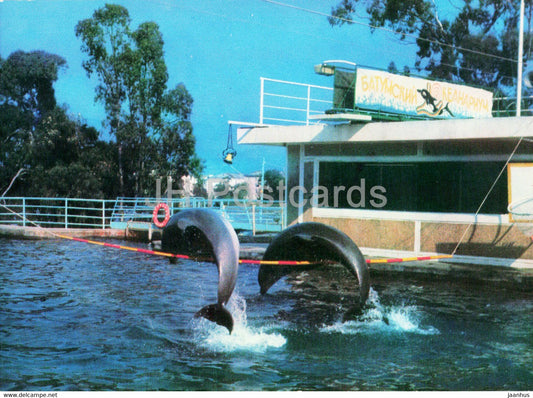 Batumi Dolphinarium - training jumping - dolphin - 1980 - Georgia USSR - unused - JH Postcards