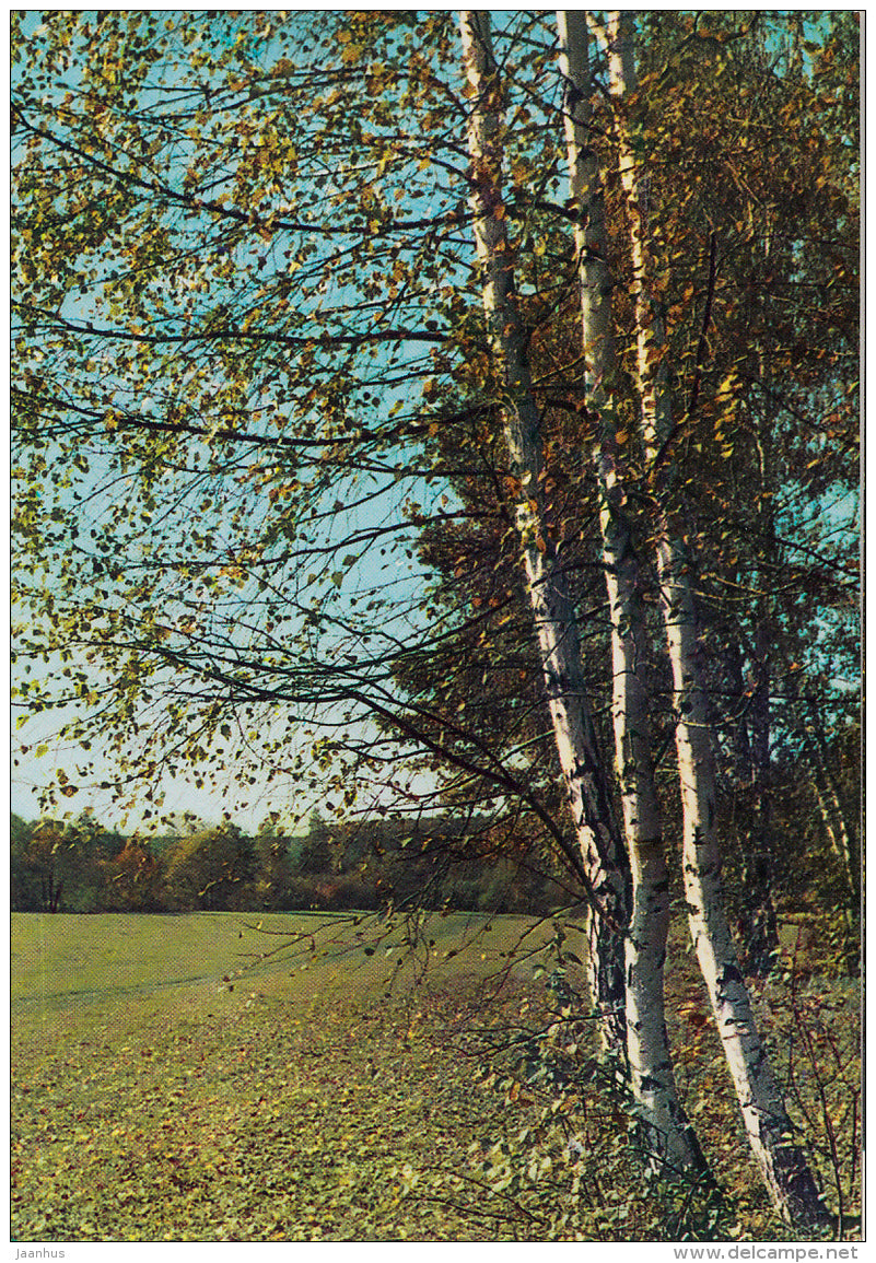 a clearing near the river Voronka - Russian writer Leo Tolstoy Museum - Yasnaya Polyana - 1967 - Russia USSR - unused - JH Postcards
