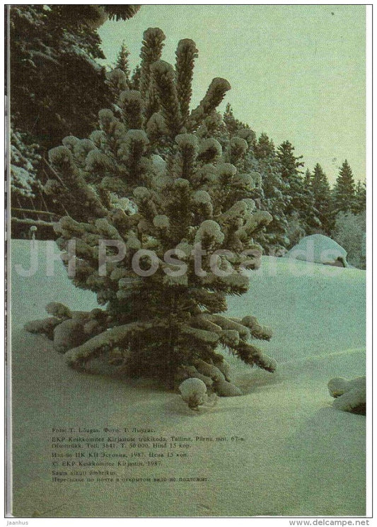 New Year Greeting Card - winter view - fir tree - 1987 - Estonia USSR - used - JH Postcards
