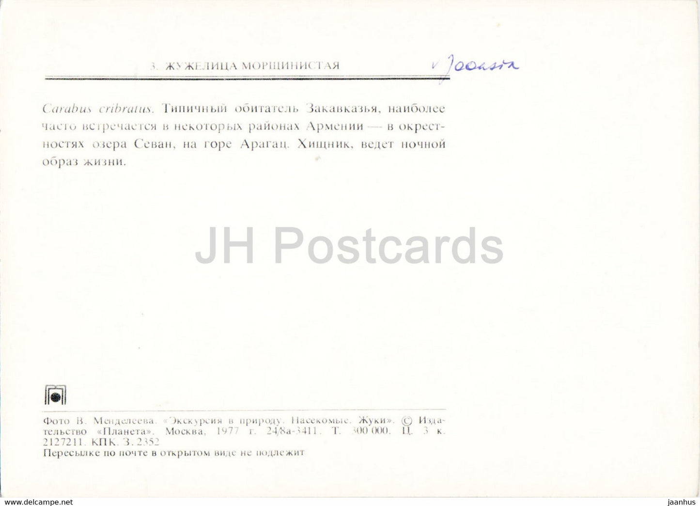 Carabus cribratus - insectes - 1977 - Russie URSS - inutilisé