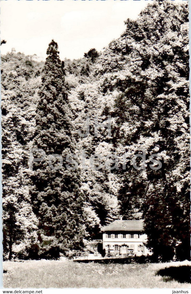 Bensheim Auerbach a d Bergstrasse - Mammutbaum - Herrenhaus - old postcard - Germany - unused - JH Postcards