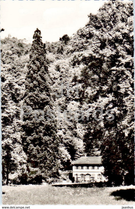 Bensheim Auerbach a d Bergstrasse - Mammutbaum - Herrenhaus - old postcard - Germany - unused - JH Postcards