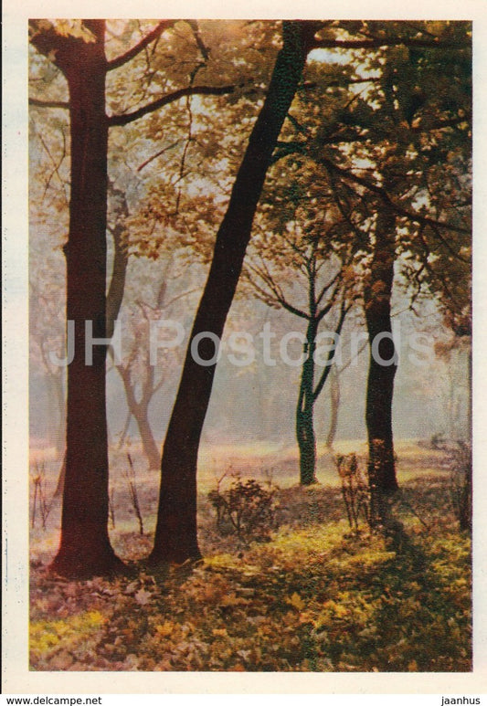 Kaunas - in the new Town Park - 1965 - Lithuania USSR - unused - JH Postcards