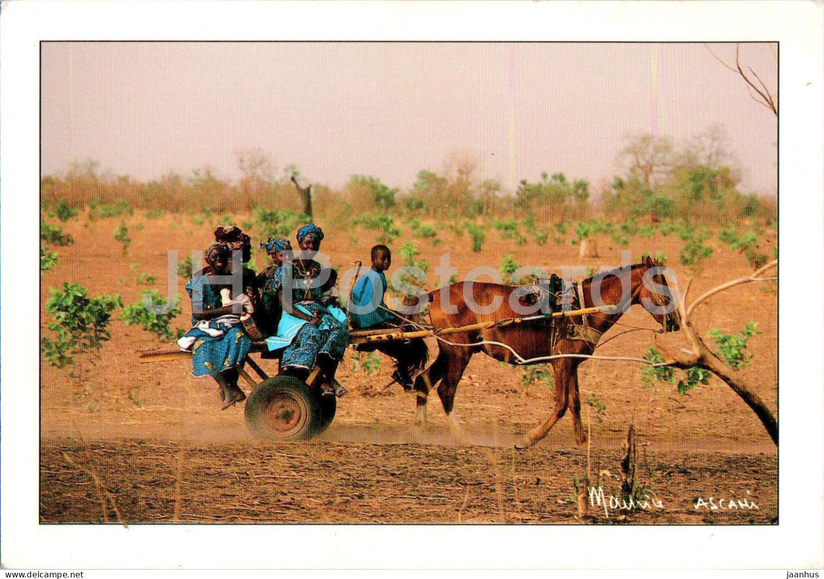 La charrette - transport typique du Senegal - cart - typical transport of Senegal - horse - 32 - Senegal - used - JH Postcards