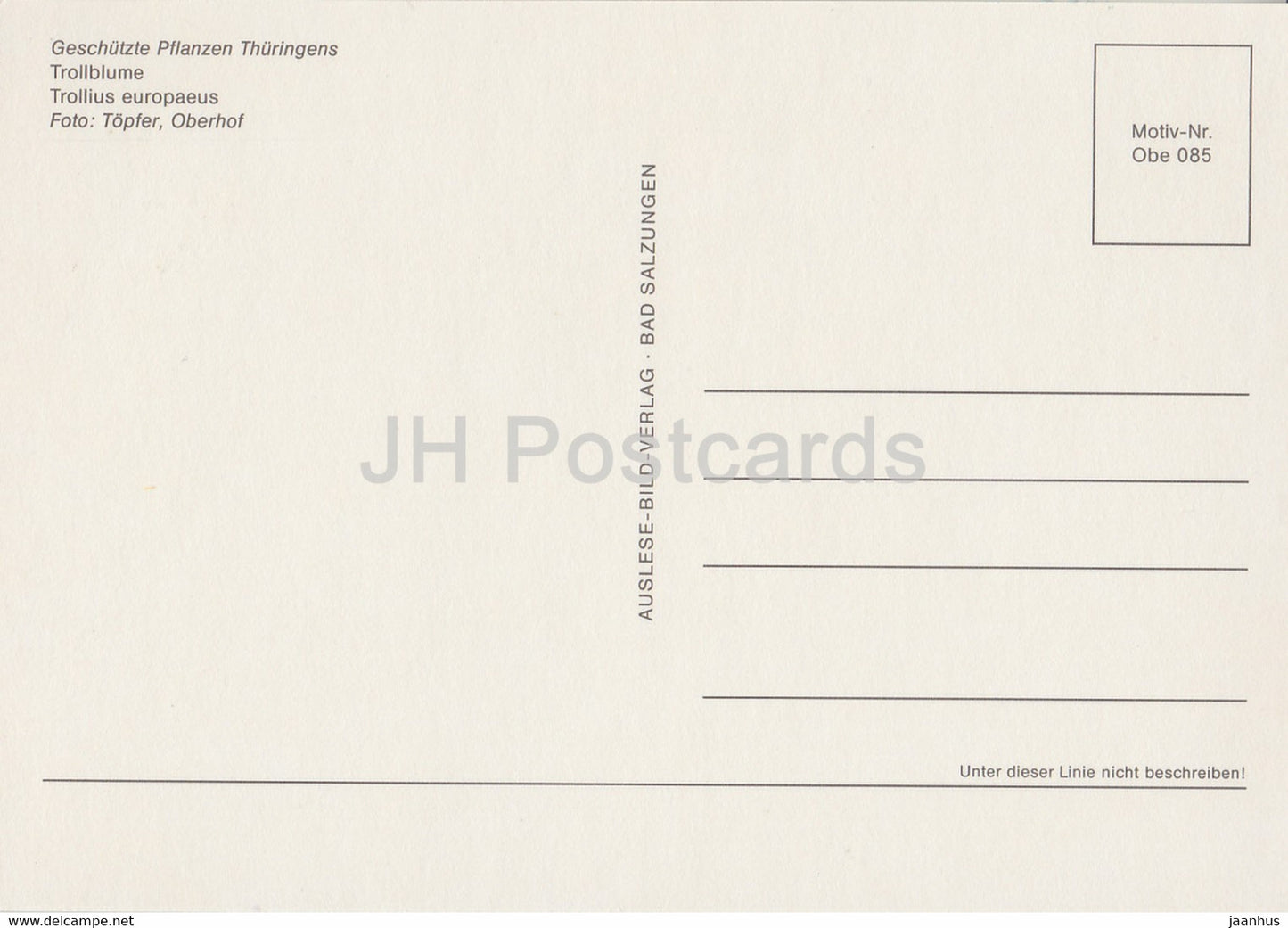 Globeflower - Trollius europaeus - Geschutzte Pflanzen - Protected plants - DDR Germany - unused