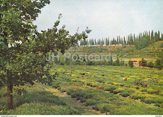 Costermano - Deutscher Soldatenfriedhof - German Soldiers Cemetery - Italy - Italia - unused - JH Postcards