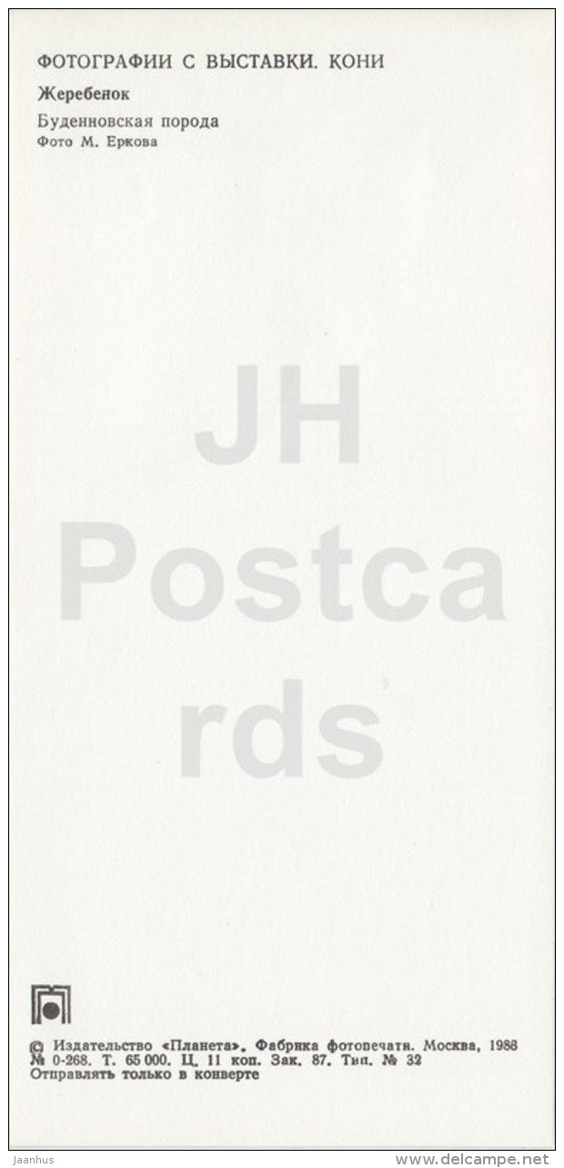 foal - Budyonny horse - Horses - horse - 1983 - Russia USSR - unused - JH Postcards