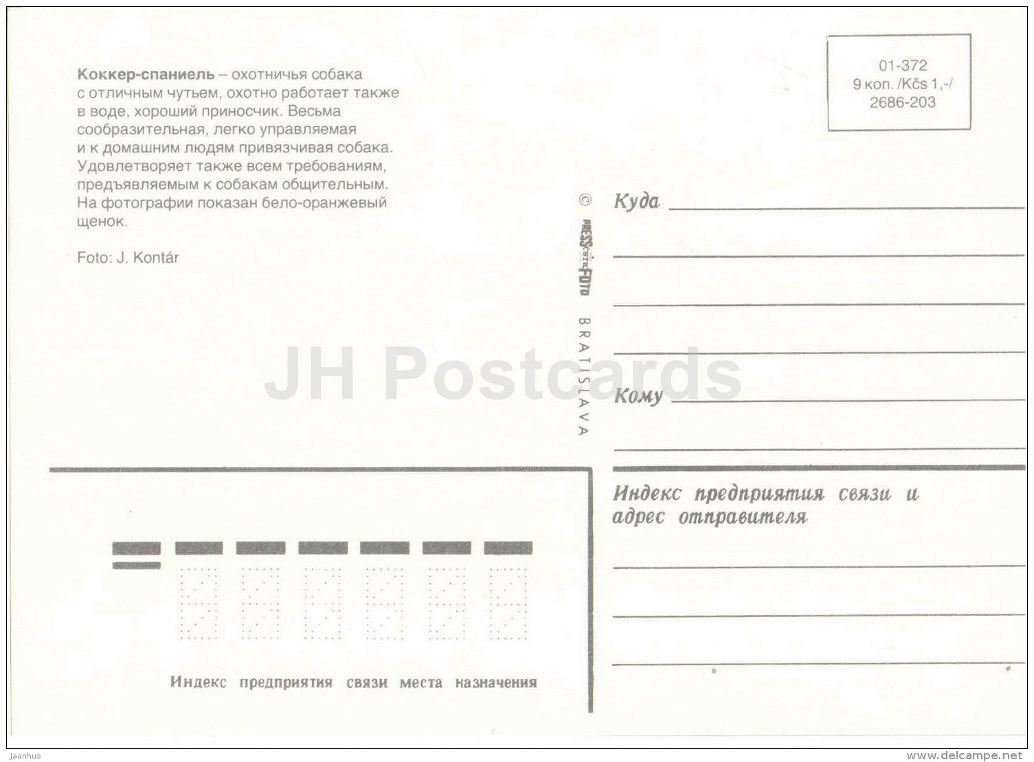 Cocker Spaniel - dog - Russia USSR - unused - JH Postcards