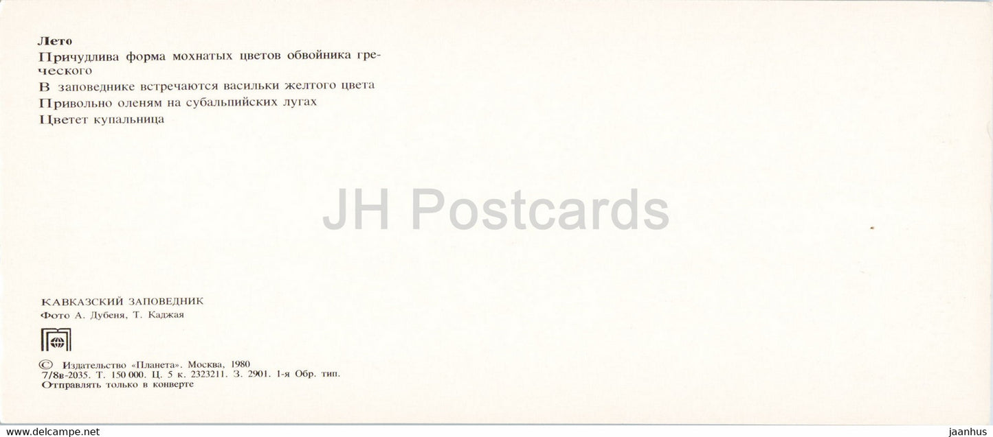 gelbe Kornblume - Rothirsch - Trollblume - Tiere - Kaukasisches Naturschutzgebiet - 1980 - Russland UdSSR - unbenutzt