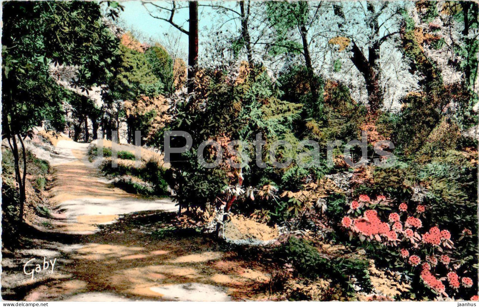 Chateauneuf Sur Loire - Sous Bois et Rhododendrons geants dans le Parc du Chateau - flowers - 27 - France - unused - JH Postcards