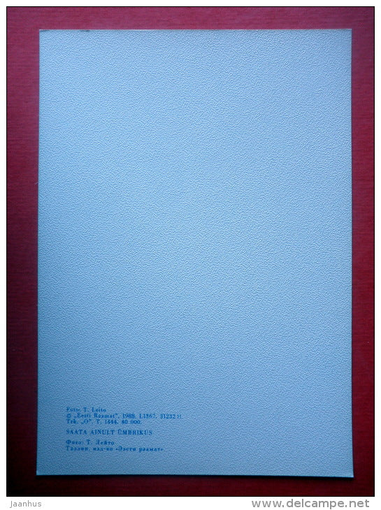 Estonia in Winter - landscape - IV - 1988 - Estonia USSR - unused - JH Postcards