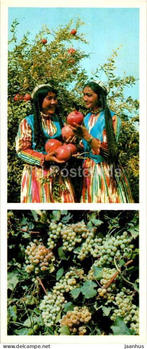 Fergana and Fergana Valley - gifts of Fergana soil - folk costumes - grape - pomegranate 1974 - Uzbekistan USSR - unused - JH Postcards