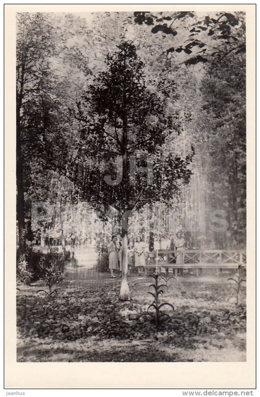 Oak tree fountain - Petrodvorets - photo card - 1955 - Russia USSR - unused - JH Postcards