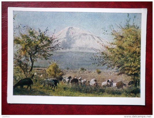 in the Ararat valley - mountain - 1957 - Armenia USSR - unused - JH Postcards