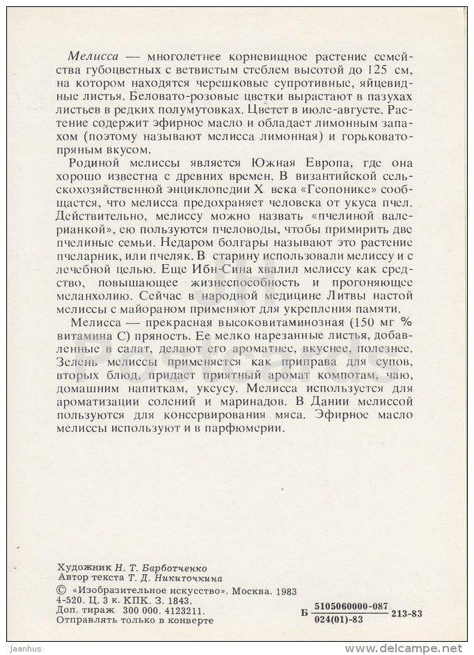 Melissa - Spice Plants - 1983 - Russia USSR - unused - JH Postcards