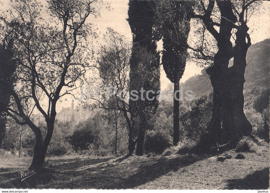 Menton - vu a travers les cypres et les oliviers - cypress and olive trees - old postcard - 1953 - France - used - JH Postcards