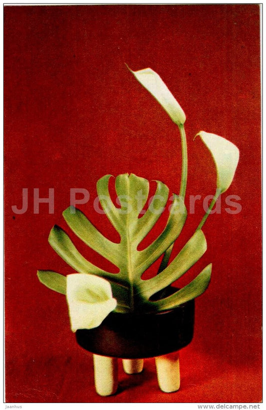 calla - flowers - ikebana - flower composition - Decorative Bouquets - 1969 - Russia USSR - unused - JH Postcards