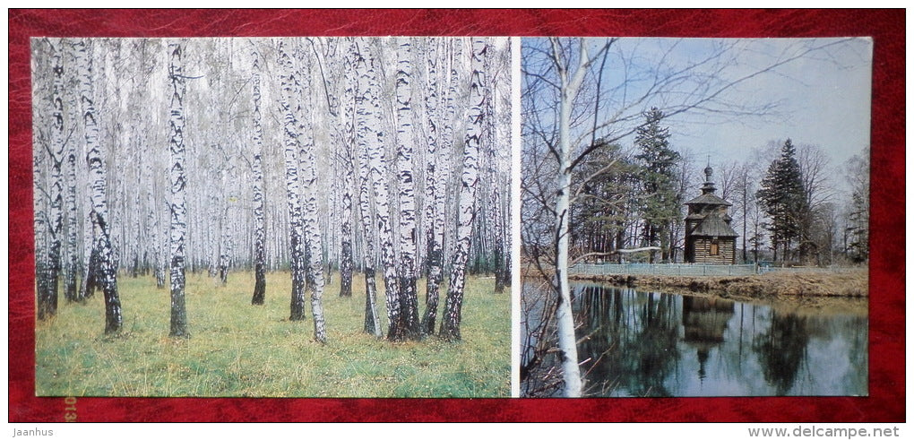 Anton Chekhov museum in Melikhovo - birch forest - wooden church - 1984 - Russia - USSR - unused - JH Postcards