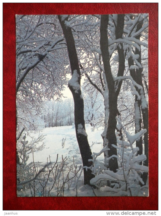 New Year Greeting Card - winter forest 2 - 1986 - Russia USSR - used - JH Postcards
