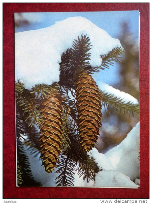 New Year Greeting card - fir tree cones - 1987 - Estonia USSR - used - JH Postcards