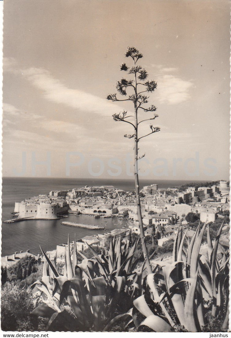Dubrovnik - panorama - 2623 - Yugoslavia - Croatia - unused - JH Postcards