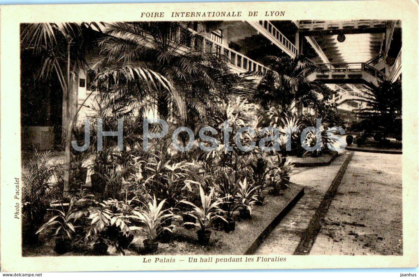 Foire Internationale de Lyon - Le Palais - Un Hall pendant les Floralies - palace - fair old postcard - France - unused - JH Postcards