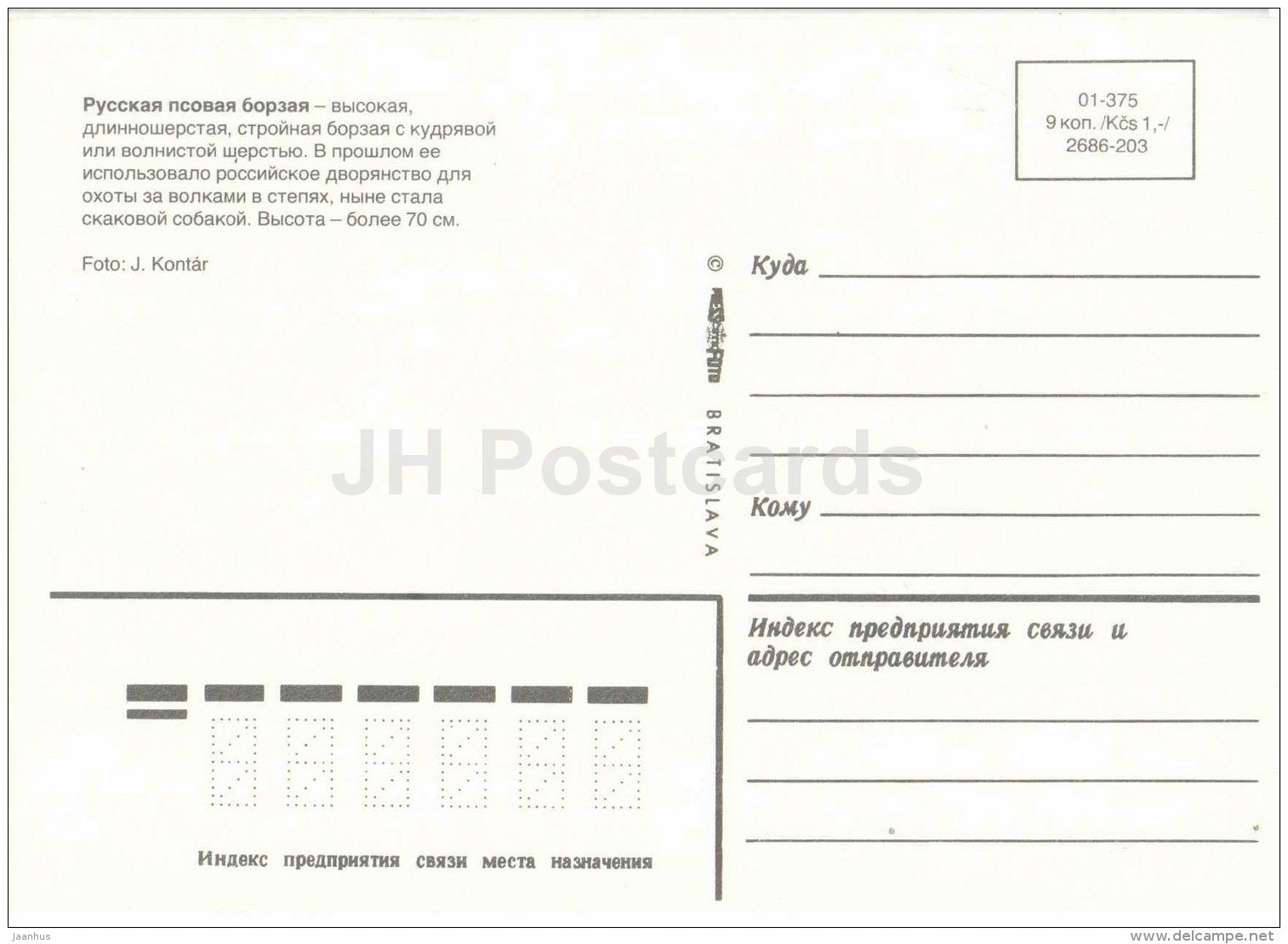 Russian Borzoi - dog - Russia USSR - unused - JH Postcards