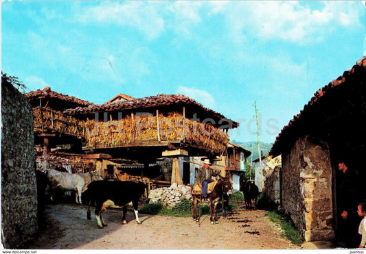Horreo Asturiano - Astur Horreo - animals - cow - donkey - 266 - 1970 - Spain - used - JH Postcards