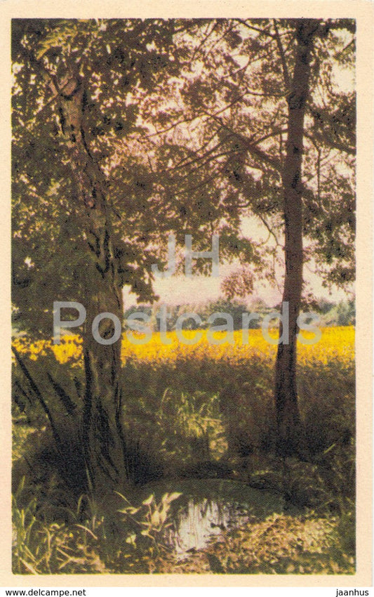 Nature - pond - trees - Offset Nyomda Budapest - Hungary - unused - JH Postcards