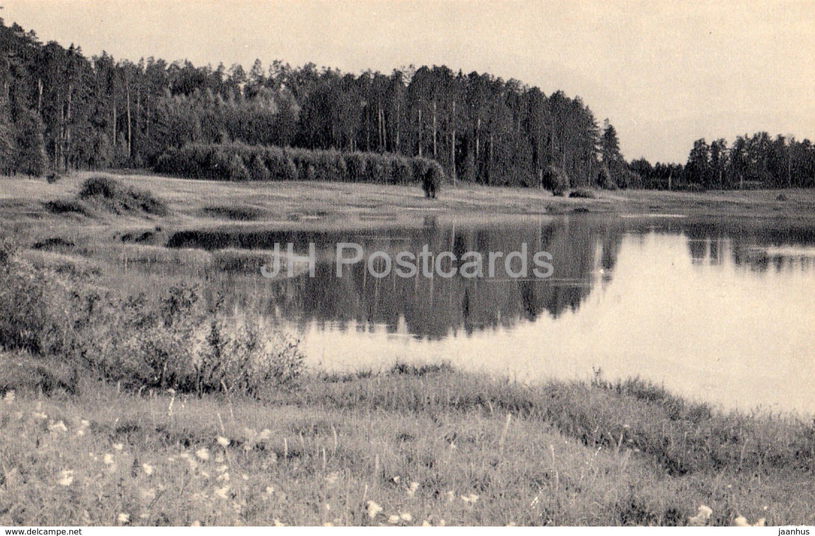 Road to Trigorskoye from Mikhailovskoye along the Lake Malenets - Pushkin Nature Reserve - 1968 - Russia USSR - unused - JH Postcards