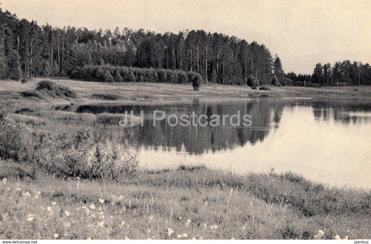 Road to Trigorskoye from Mikhailovskoye along the Lake Malenets - Pushkin Nature Reserve - 1968 - Russia USSR - unused - JH Postcards